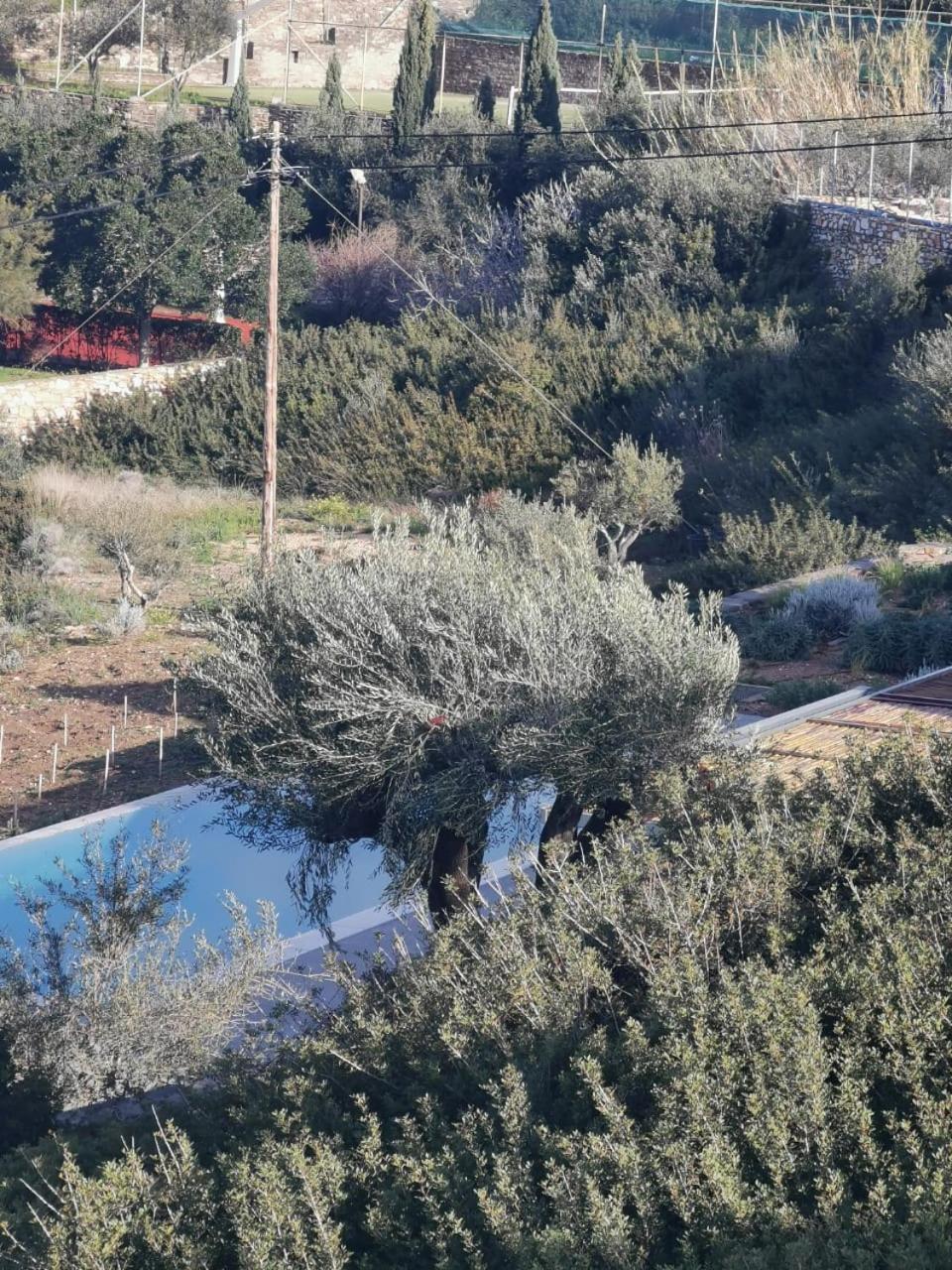 Olithos Villas Krotiri Luaran gambar